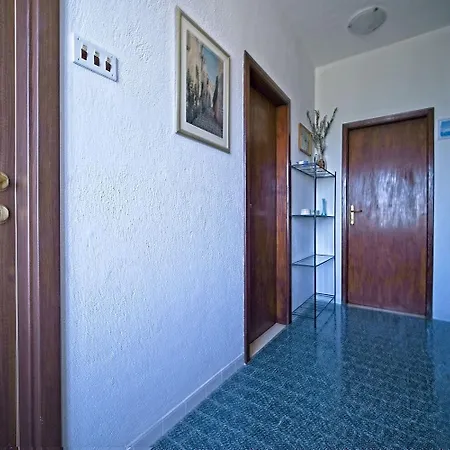 Pavo