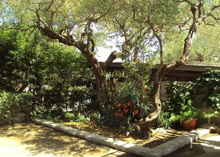 Pavo Apartman